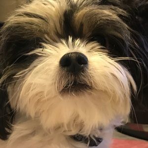 Meet your Posher, Delma